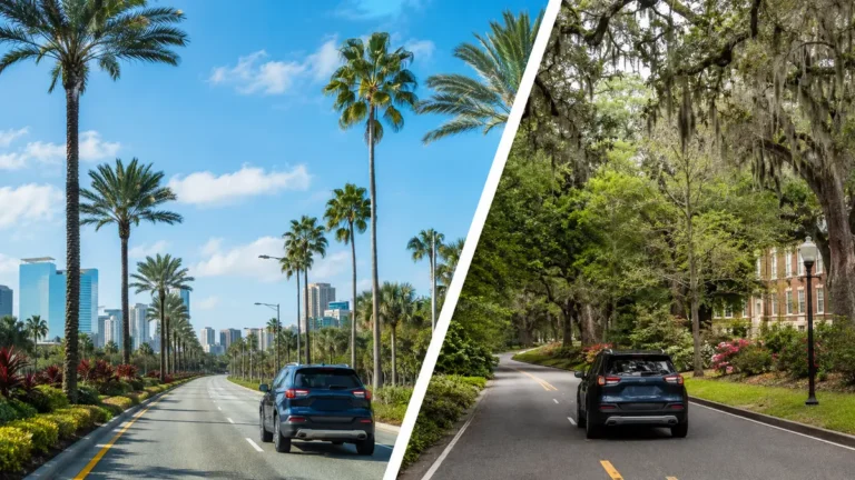 Florida road trip from Orlando to Gainesville with a secured visible item